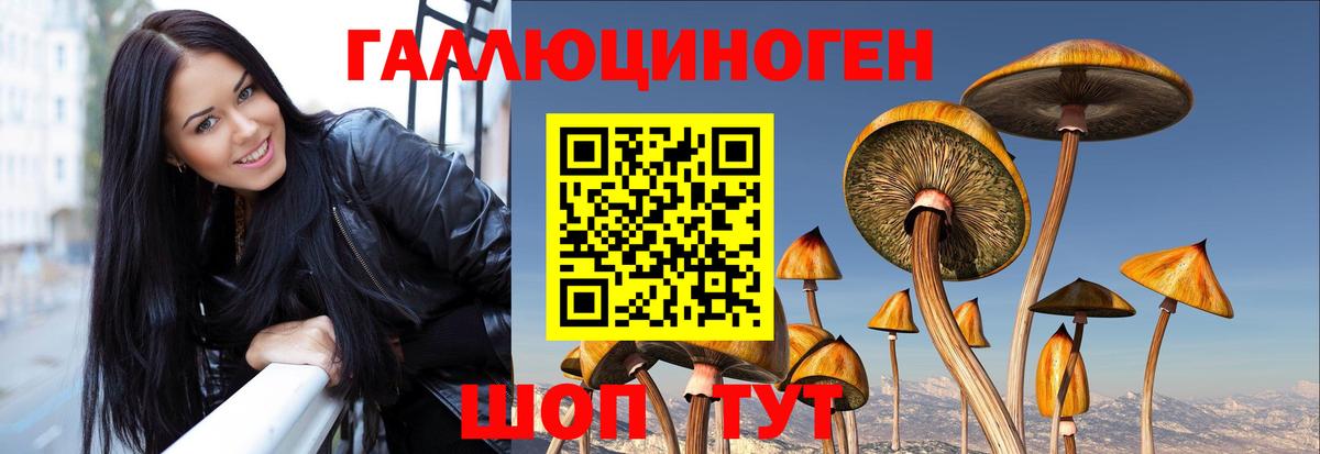 Галлюциногенные грибы прущие грибы  Вход с VPN  Саранск 
